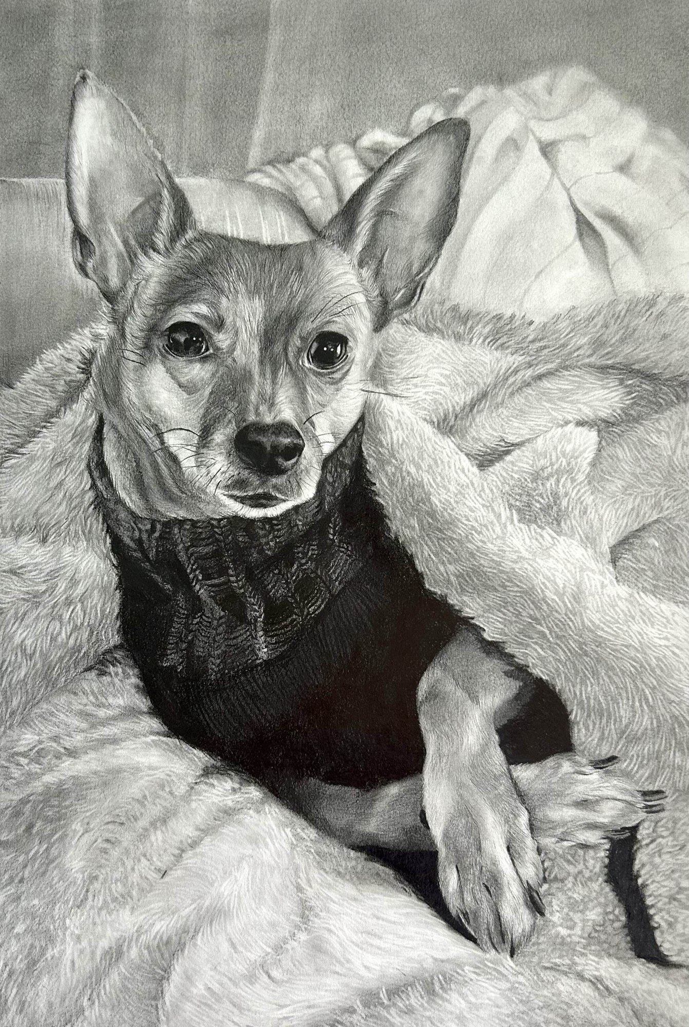 Untitled (Dog Study)